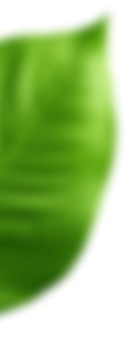 decor leaf